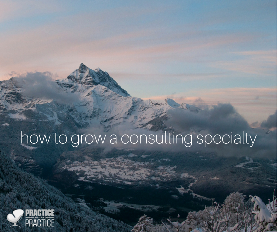 how to grow a consulting specialty