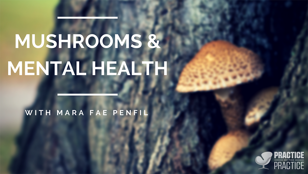 Mushrooms and mental health with Mara Fae Penfil