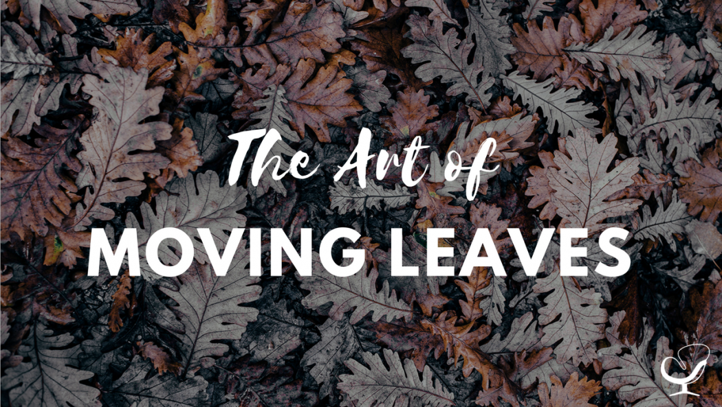 The art of moving leaves