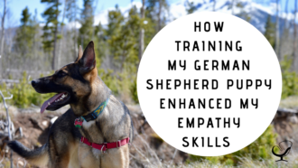 How Training My German Shepherd Puppy Enhanced My Empathy Skills