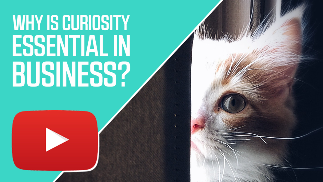 Why is Curiosity Essential in Business?